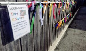Ribbons of Reflection in Launceston 22