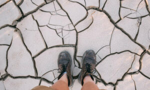 Geotechnical Report Proves Stadium on Shaky Ground 1