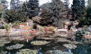 Tas That Was – The Royal Tasmanian Botanical Gardens 3
