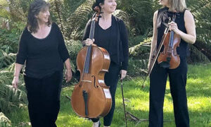 Hartz Trio Concerts This Weekend 14