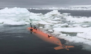 New Blueprint for Southern Ocean Survival 1