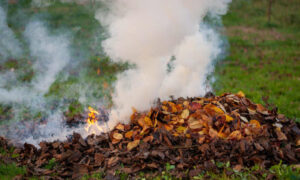 Fire Permits Now Required in Southern Tasmania 9