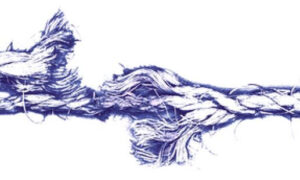 Polarisation and Leadership 5