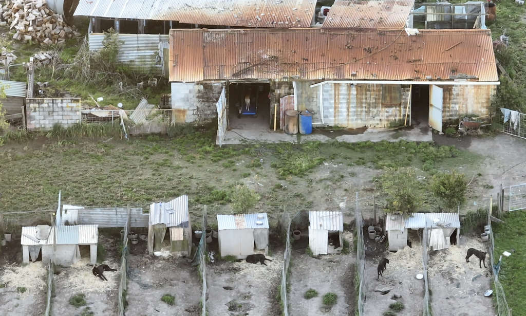 ALT Publish Drone Footage from Greyhound Training Property at Birralee 1