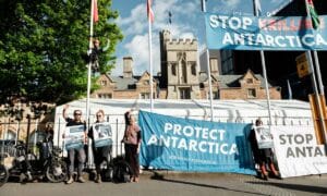 Call for CCAMLR to Protect Antarctic Krill 11