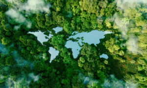 Our Sustainable Future? 9