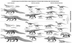 Prehistoric crocodilians chart