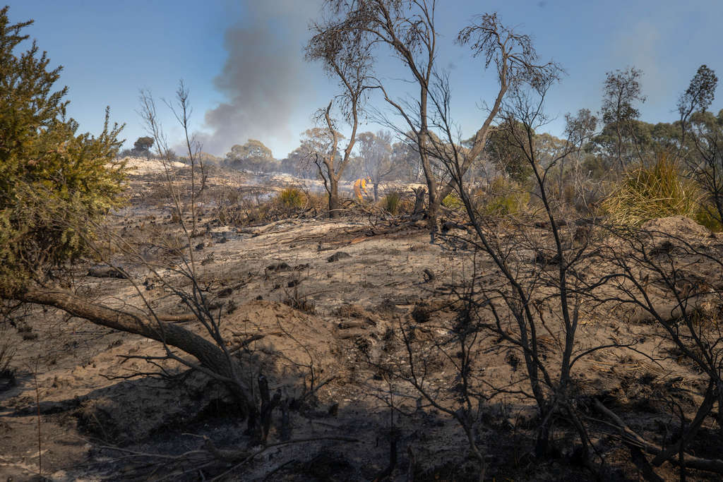 Dolphin Sands Fire Remains Watch and Act 8 Dolphin Sands Fire Remains Watch and Act 8