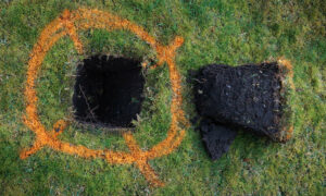 Soil Propositions - Nunami Sculthorpe Green, Grace Gamage & Lucy Bleach 9