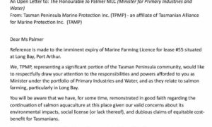 Community Groups Call for Cancellation of Salmon Licences 11