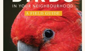 Cover: Birds, by Darryl Jones