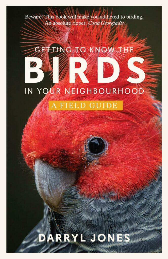 Nature Books in Review - Spiders and Birds 6 Cover: Birds, by Darryl Jones
