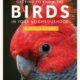 Cover: Birds, by Darryl Jones