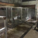 New Report – Punters Duped, Dogs Mistreated 23