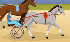 Murrihy Completes Inquiry into Harness Racing 32