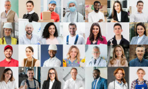 Multicultural Employment Project 14