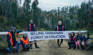 Swift Parrot Protests Continue 24