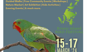 2024 Bruny Island Bird Festival Program Released 3