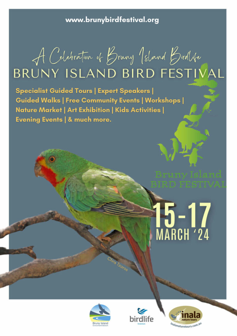 2024 Bruny Island Bird Festival Program Released Tasmanian Times