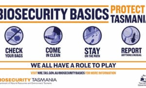 Biosecurity Basics Campaign 3