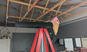 Giant Puppet 'Derek' Launches in Launceston – Climate Crisis Warning 3