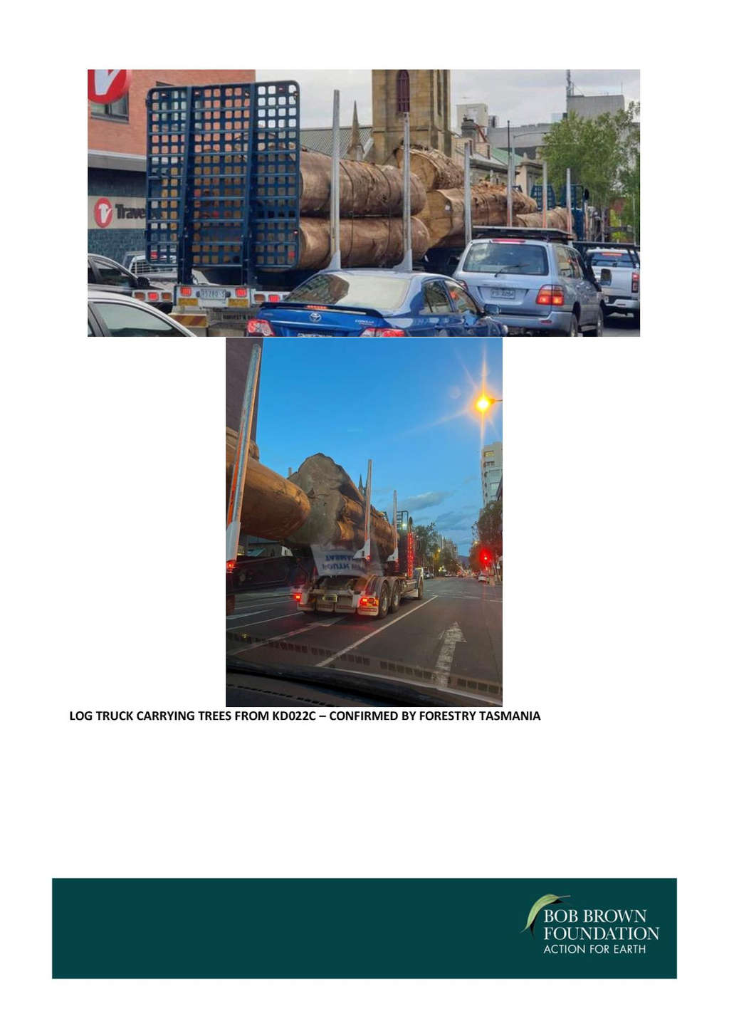 BBF Threatens Logging Injunction in Swift Parrot Habitat 43 BBF Threatens Logging Injunction in Swift Parrot Habitat 43