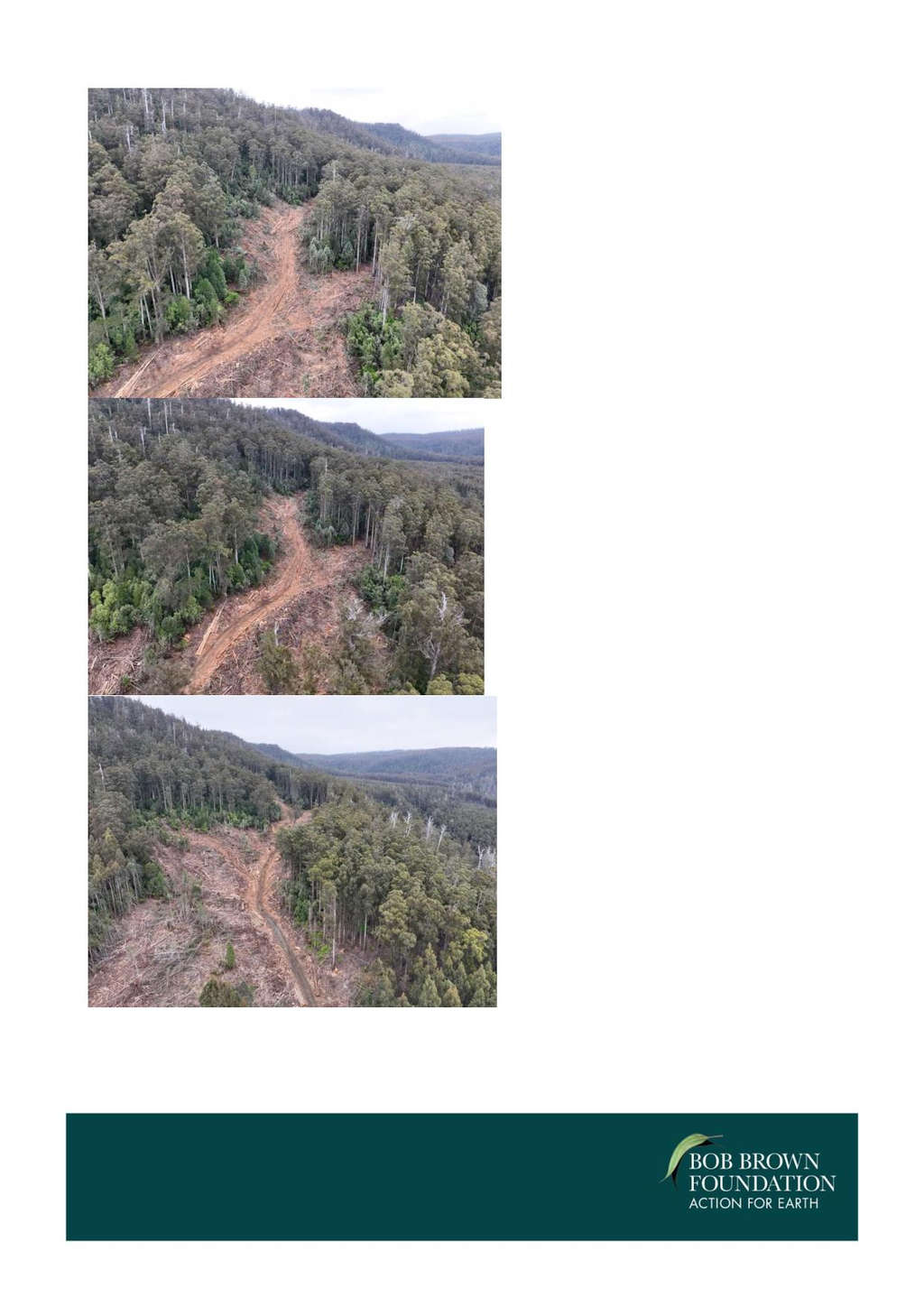 BBF Threatens Logging Injunction in Swift Parrot Habitat 44 BBF Threatens Logging Injunction in Swift Parrot Habitat 44