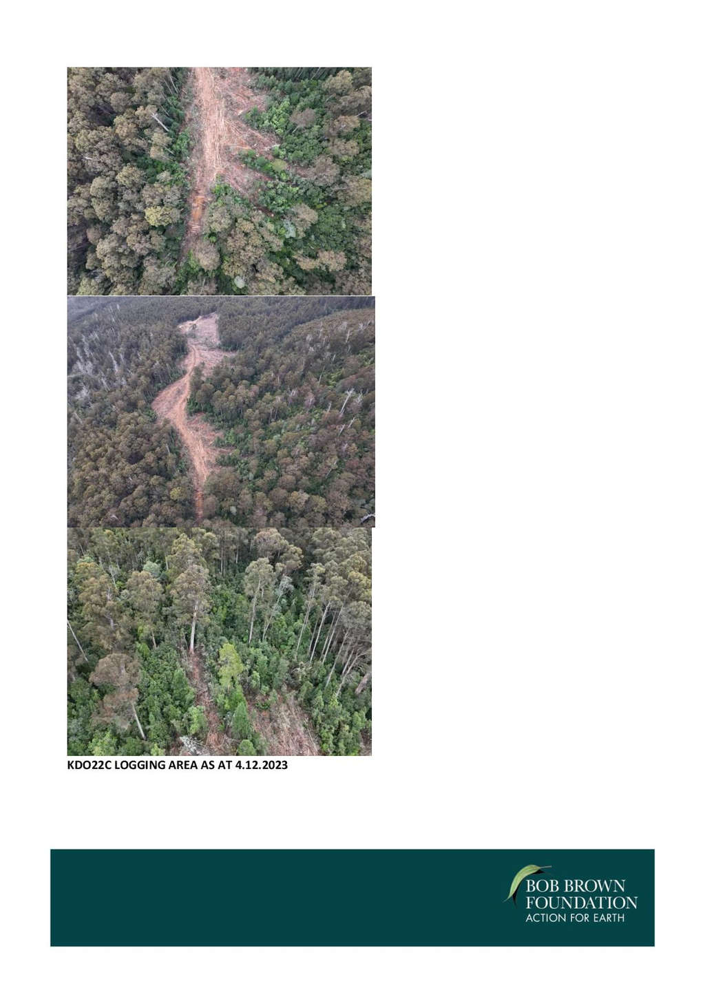 BBF Threatens Logging Injunction in Swift Parrot Habitat 45 BBF Threatens Logging Injunction in Swift Parrot Habitat 45