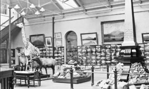 Tas That Was – Tasmanian Museum and Art Gallery 1