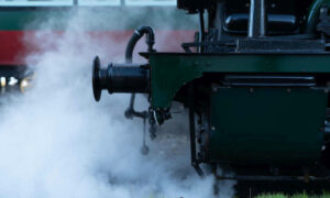 Wilderness Railway Partnership with Schools 6