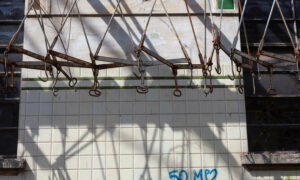 Surprise! 5 Tasmanian Abattoirs Abusing Animals 17