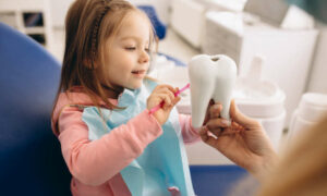 Senate Report on Dental Services 13