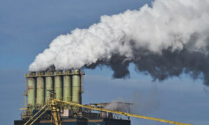 Reynolds Joins Call for Fossil Fuel Non-Proliferation Treaty at COP28 16