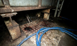 More Animal Abuse Revealed, Linked to 'Tasmanian of the Year' - UPDATED 1