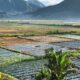 Hobart Author Shines Spotlight on Lombok 13