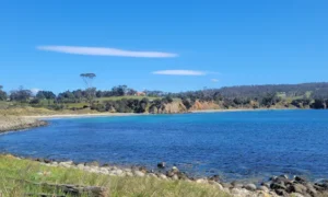 Flipping Indigenous Regional Development in Newfoundland - Lessons from Tasmania 11