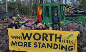Forestry Protest Action in Wentworth Hills 10