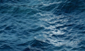 4 Arrested Over Hobart Waterfront Drowning 18