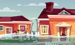 Economics Committee Probe into Insurers' Responses to 2022 Flood Claims 7