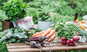 Call for Edible Gardens Fund 15