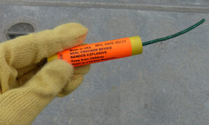 Tassal Seeking Sneaky Approval for Seal Bombs 13