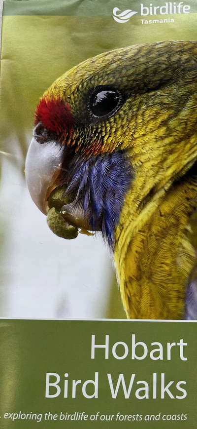 New Guide to Hobart Bird Walks 3