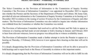 Select Committee Unable to Scrutinise Premier Rockliff, Jenny Gale 18