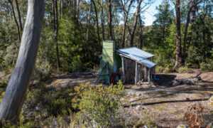 Heritage-listed Hut on Halls Island Left to Rot in Hypocrisy  15