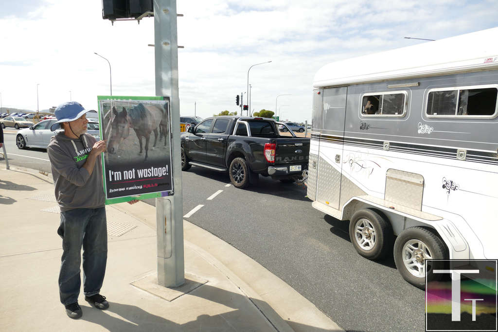 Activists Protest Hobart Cup 13 Activists Protest Hobart Cup 13