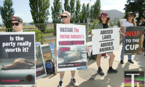 Activists Protest Hobart Cup 21