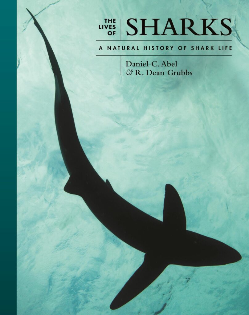 Book Review: 'The Lives of Sharks' 7 Book Review: 'The Lives of Sharks' 7