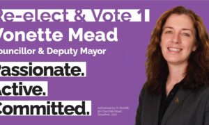 Questions for Vonette Mead 11