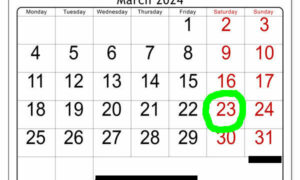2024 State Election Dates Announced 7