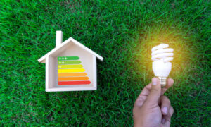 TasCOSS: Energy Efficiency Upgrades Needed for Low-Income Households 9